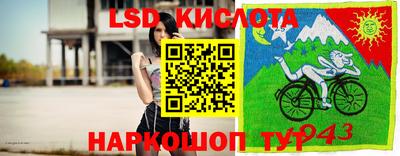apvp Кимры