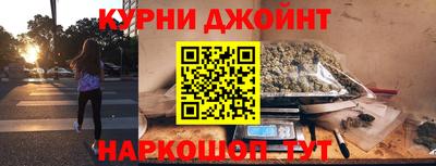 сатива Кингисепп