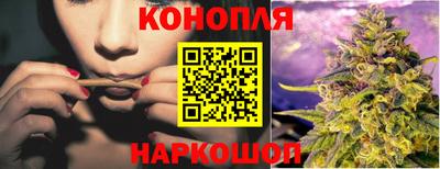 сатива Кингисепп